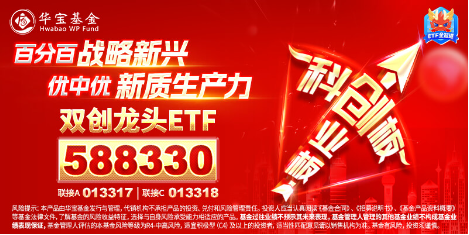 电力设备领涨两市！宁德时代大消息+固态电池材料突破，双创龙头ETF（588330）最高上探2.14% 第5张