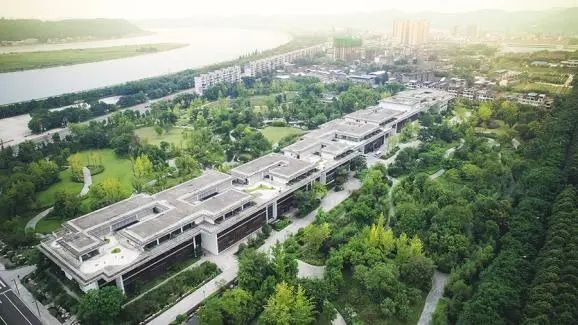 业绩大降的舍得酒业 遭监管问询后又现大额消费 第5张