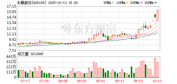永鼎股份：无逾期担保 第1张