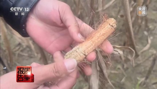 每周质量报告丨未定损就签字、没受灾也赔付 惠农保险理赔怎成一笔“糊涂账”? 第15张 每周质量报告丨未定损就签字、没受灾也赔付 惠农保险理赔怎成一笔“糊涂账”? 第15张