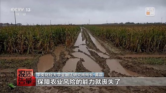 每周质量报告丨未定损就签字、没受灾也赔付 惠农保险理赔怎成一笔“糊涂账”? 第19张 每周质量报告丨未定损就签字、没受灾也赔付 惠农保险理赔怎成一笔“糊涂账”? 第19张