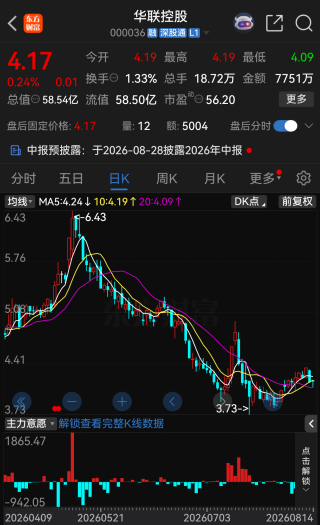 华联控股产业转型突然遇阻，拟投资阿根廷锂盐湖项目触发审查 第2张