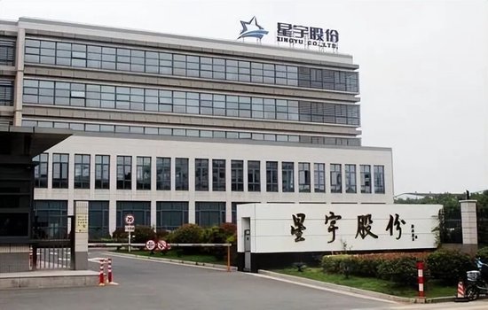 代价沉重,为省几百万,星宇赴港上市果然遇阻,后悔也来不及了,给制造业敲响警钟 第6张 代价沉重,为省几百万,星宇赴港上市果然遇阻,后悔也来不及了,给制造业敲响警钟 第6张