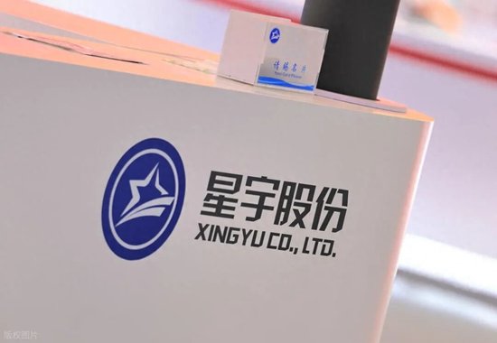 代价沉重,为省几百万,星宇赴港上市果然遇阻,后悔也来不及了,给制造业敲响警钟 第7张 代价沉重,为省几百万,星宇赴港上市果然遇阻,后悔也来不及了,给制造业敲响警钟 第7张